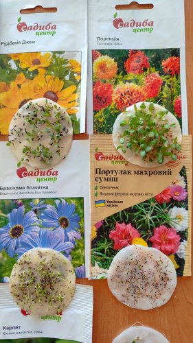 Портулак махровий суміш 0,1г СЦ Традиція схожість 62% 05.2026р