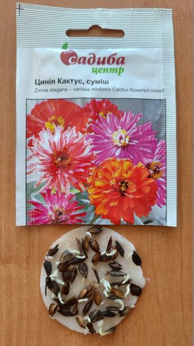 Майорці Кактус суміш 0,5г СЦ 72% схожість 02.2026р