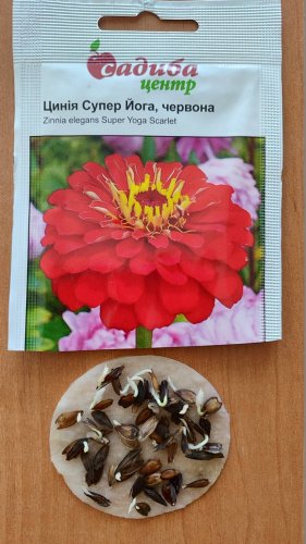 Майорці Супер Йога червона 0,5г СЦ 50% 02.2026р