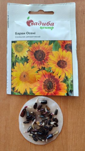 Соняшник Барви Осені 1г СЦ 42% схожість 03.2026р