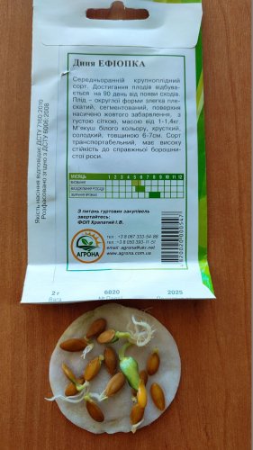 Диня Ефіопка 2г. 2025р Агрона