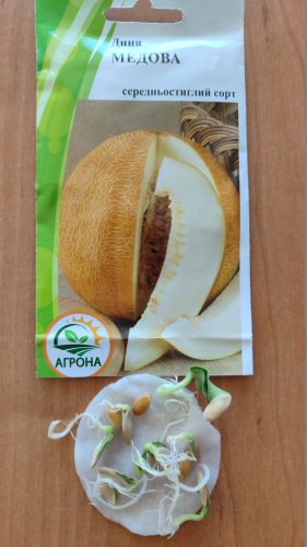 Диня Медова 2г. 2025р Агрона