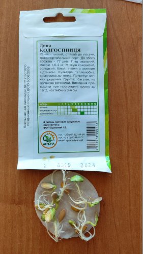 Диня Колгоспниця 2г 2024р Агрона