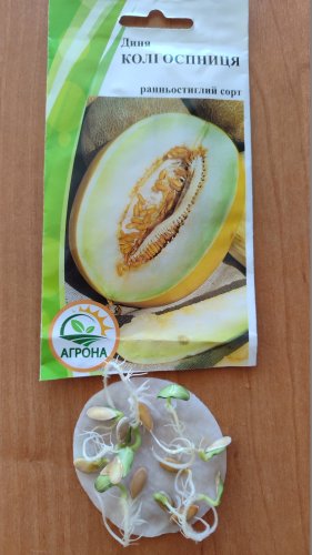 Диня Колгоспниця 2г 2024р Агрона