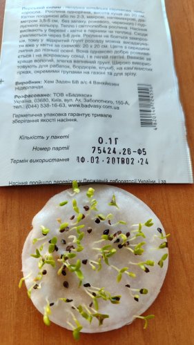 Гвоздика Перський Килим китайська карликова 0,1г 02.2024р СЦ