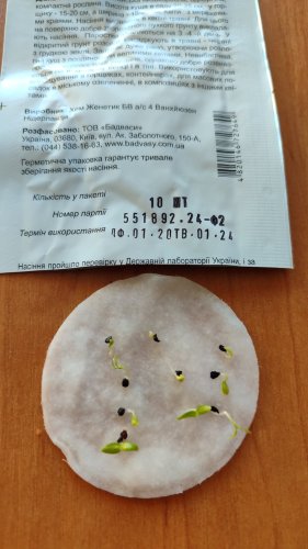 Гвоздика Діана F1 суміш 10 гранул 01.2024 СЦ