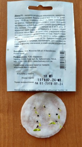 Гвоздика Діана F1 суміш 10 гранул 01.2024 СЦ