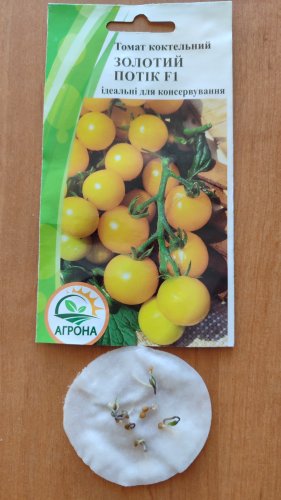 Томат Золотий потік F1 10 нас 2023р Агрона