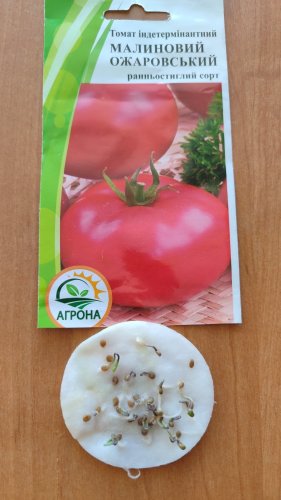 Томат Малиновий світанок 0,1г 2023р Агрона