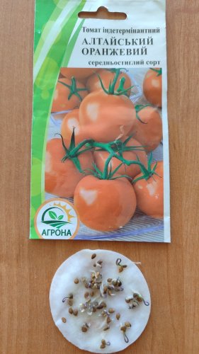 Томат Алтайський поморанчевий 0,1г 2023р Агрона