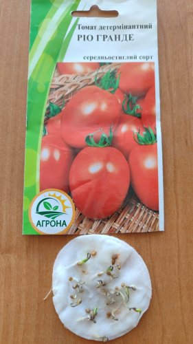 Томат Ріо Гранде 0,1г Агрона 12.2023