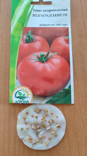 Томат Волгоградський 5/95 0,2г 2023р Агрона