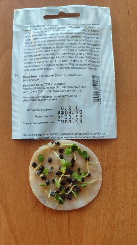 Мімоза сором'язлива 0,2г 09.2024р СЦ