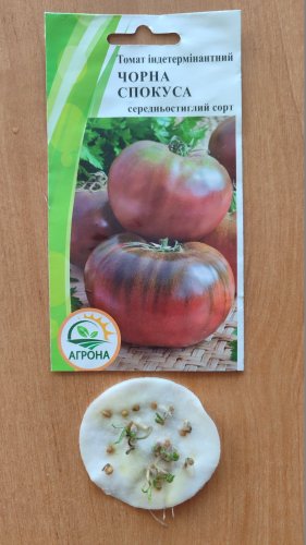 Томат Чорна спокуса 0,1г Агрона 12.2023р