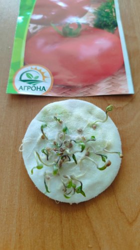 Томат Малиновий Оражовський 0,1г 12.2023р Агрона