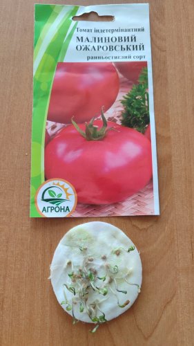 Томат Малиновий Оражовський 0,1г 12.2023р Агрона