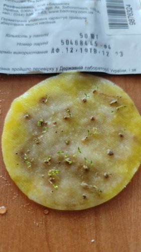 ПРОФ Еустома АВС 2 F1 рожева махрова 50 гран.2023р СЦ