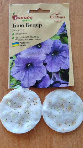 Петунія Блю Бедер 0,1 г. 2024р 80% СЦ Традиція