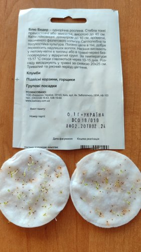 Петунія Блю Бедер 0,1 г. 2024р 80% СЦ Традиція