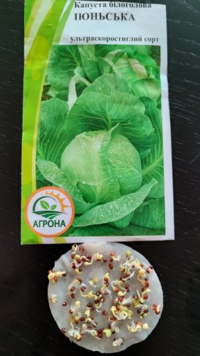 Капуста Іюньська 0,5г. 2025р Агрона
