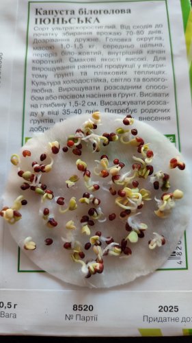 Капуста Іюньська 0,5г. 2025р Агрона
