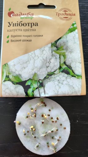 Капуста цв. Уніботра 0,2г. СЦ 02.2024р  82% схожість Традиція