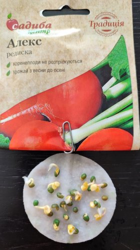 Редиска Алекс 2г. 03.2024р 99 % схожість СЦ Традиція