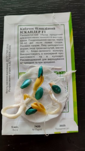 Кабачок Іскандер F1 5 шт. 2025р Агрона