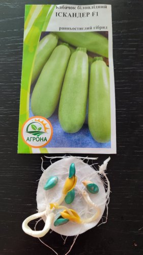 Кабачок Іскандер F1 5 шт. 2025р Агрона