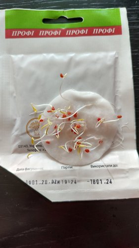 ПРОФ Томат Пляжний черрі 5г 01.2024р СЦ Традиція