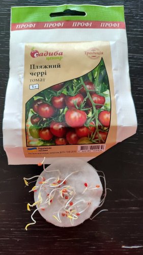 ПРОФ Томат Пляжний черрі 5г 01.2024р СЦ Традиція