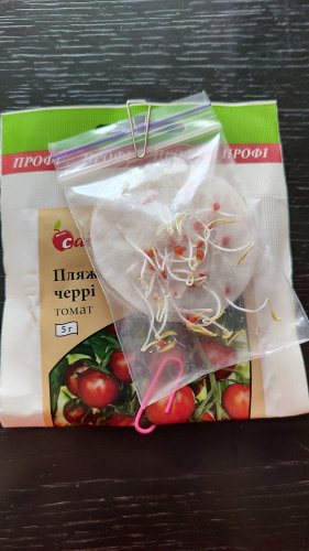 ПРОФ Томат Пляжний черрі 5г 01.2024р СЦ Традиція