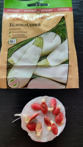ПРОФ Кабачок Білоплідний 10г. СЦ 06.2024р 70% схожість Традиція