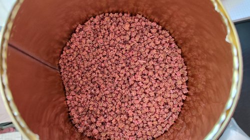 Буряк Червона куля пакет зіп 10г (GSN)