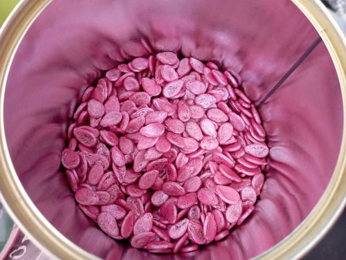 Кавун Шуга Беби пакет зіп 10г (GSN)