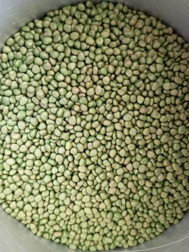 Редиска Суперстар пакет зіп 10г Satimex