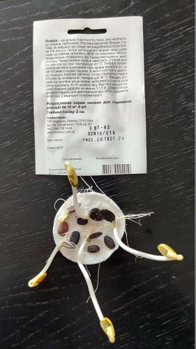 Люффа 8шт СЦ 05.2024р 50% схожість Традиція