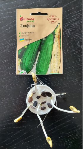 Люффа 8шт СЦ 05.2024р 50% схожість Традиція