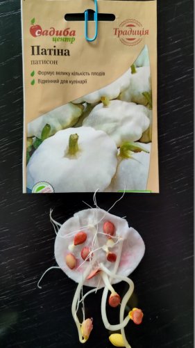 Патисон Патіна 10 шт СЦ  Традиція