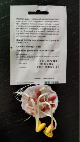 Патисон Жовтий диск 10 шт СЦ 02.2024р схожість 99% Традиція