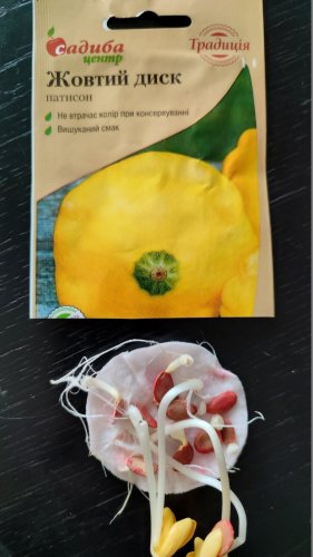 Патисон Жовтий диск 10 шт СЦ 02.2024р схожість 99% Традиція