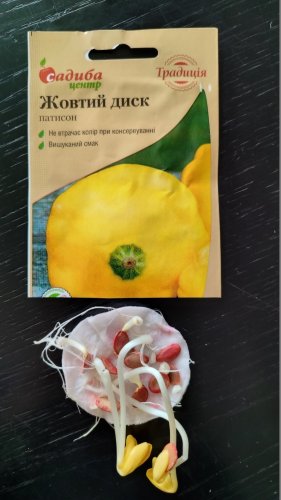 Патисон Жовтий диск 10 шт СЦ 02.2024р схожість 99% Традиція
