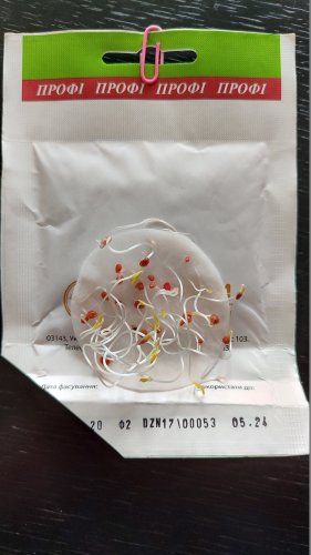 ПРОФ Томат Гібрид Тарасенко 3 5г 05.2024р 98% схожість СЦ Традиція