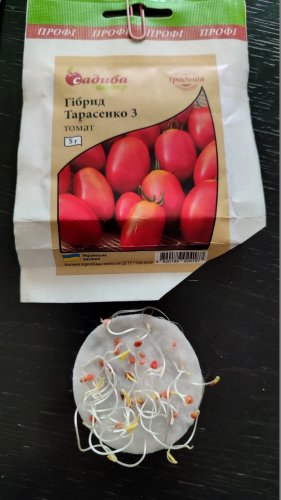 ПРОФ Томат Гібрид Тарасенко 3 5г 05.2024р 98% схожість СЦ Традиція