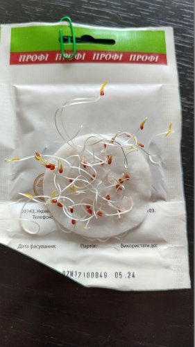 ПРОФ Томат Гібрид Тарасенко 3 5г 05.2024р 98% схожість СЦ Традиція