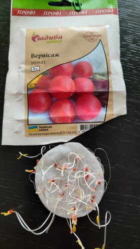 ПРОФ Томат Вернісаж 5г  05.2024р 99% схожість СЦ Традиція