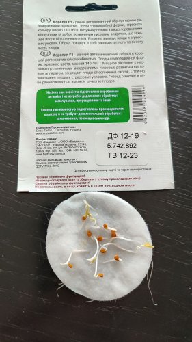 Томат Морелія F1 10 нас. 12.2023р схожість 100% СЦ