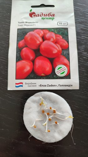 Томат Морелія F1 10 нас. 12.2023р схожість 100% СЦ