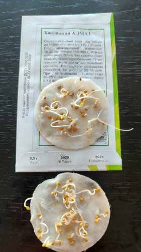 Баклажан Алмаз 0,5г Агрона