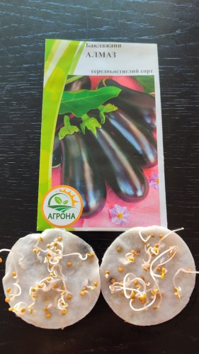 Баклажан Алмаз 0,5г Агрона